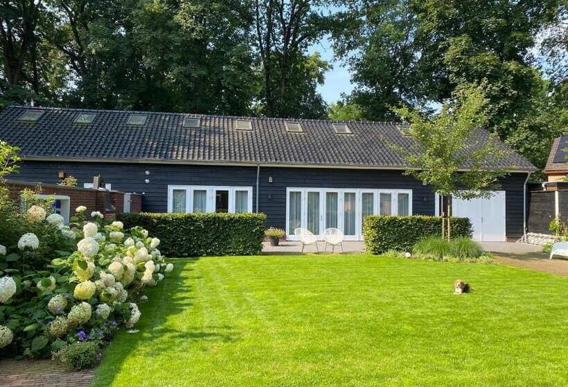 غرفة قياسية سرير كينج, Bed & Breakfast De Oude Kapel