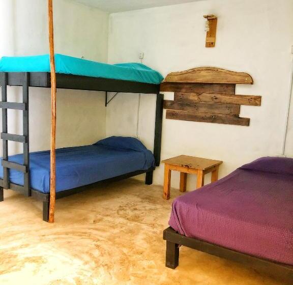 ルームシェアのワンベッド, Mi Refugio Dive House