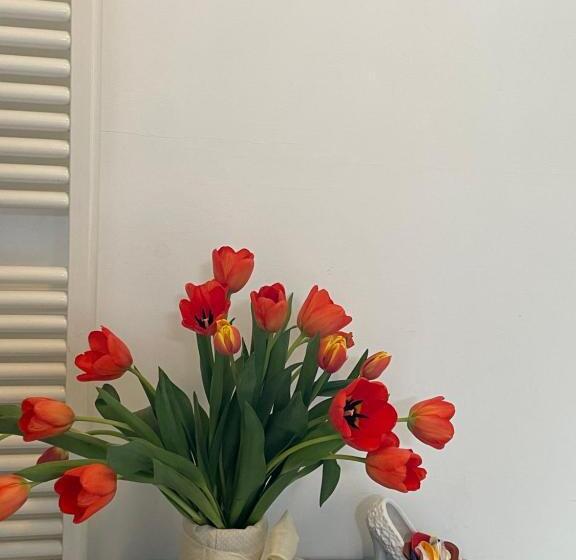 标准间, B&b Bovianum