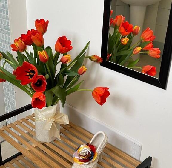 标准间, B&b Bovianum