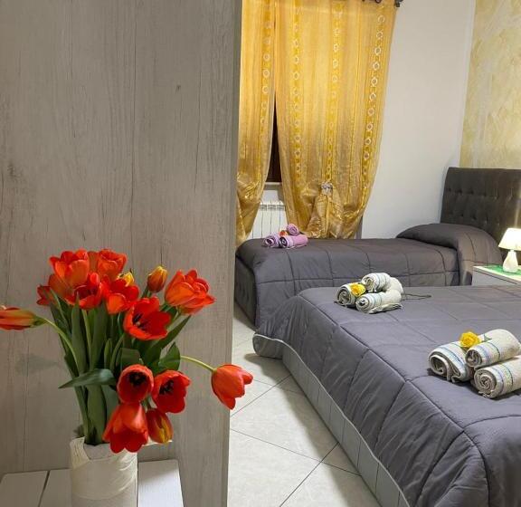 四人标准间, B&b Bovianum