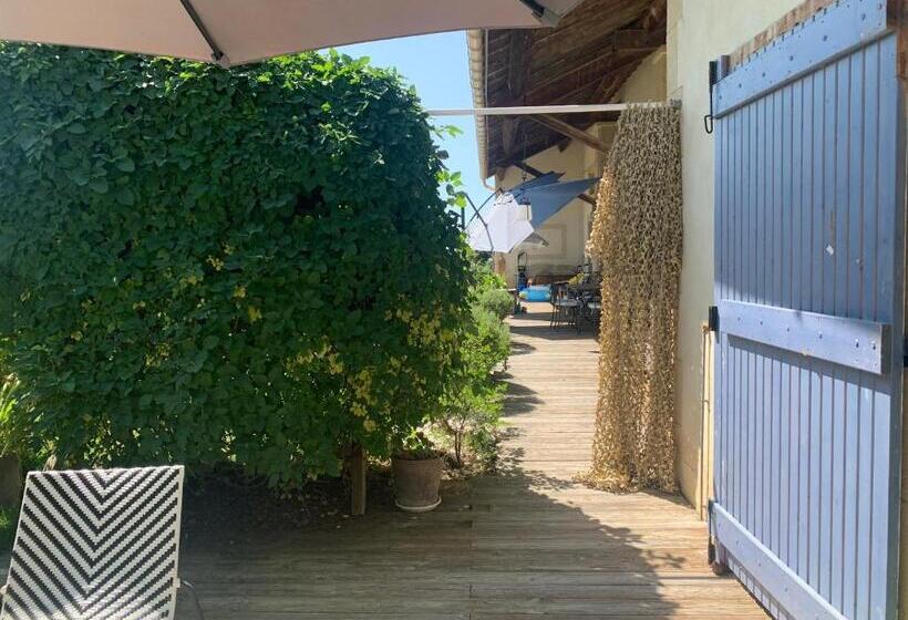 스탠다드 룸, Chambre En Drôme Tropicale