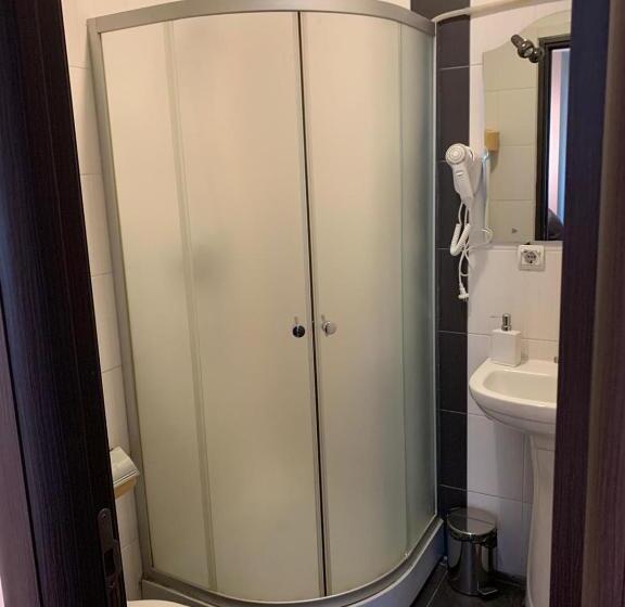 اتاق استاندارد, Lion S