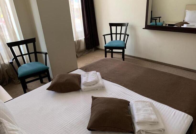 اتاق استاندارد, Lion S