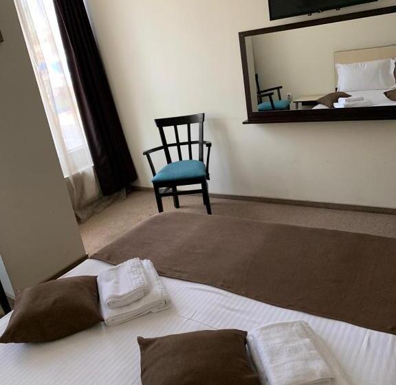 اتاق استاندارد, Lion S