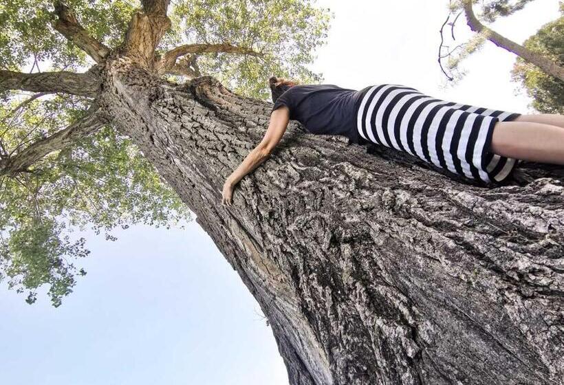 Дом 3 Спальни, Casa Sebina   Your Design Home On The Lake   3 Bathrooms 3 Bedrooms