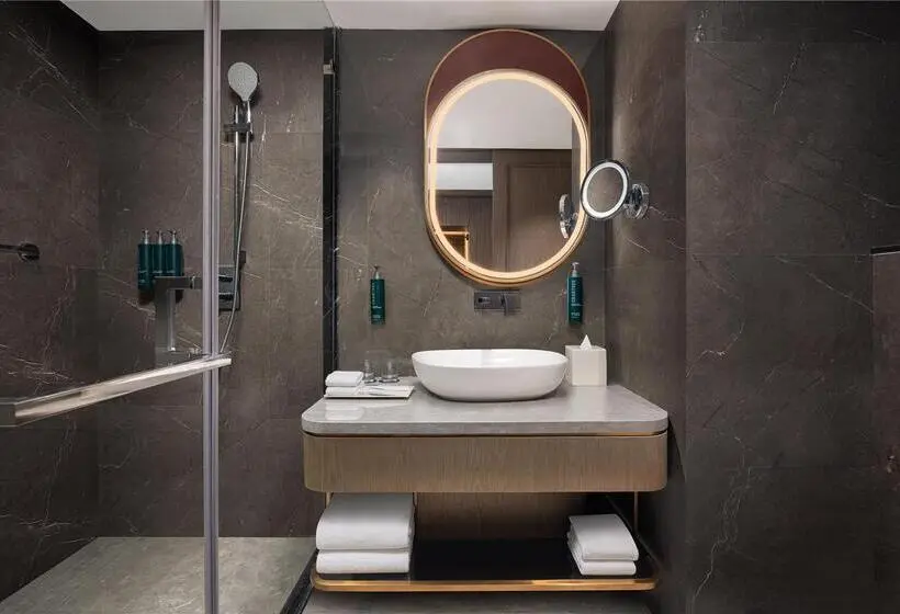اتاق اجرایی با تخت بزرگ, Hilton Sibiu