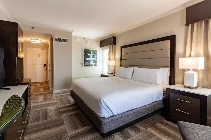 キングサイズベッドのスタンダードルーム, Holiday Inn Express Savannah   Historic District