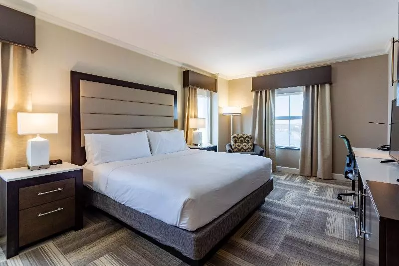 キングサイズベッドのスタンダードルーム, Holiday Inn Express Savannah   Historic District