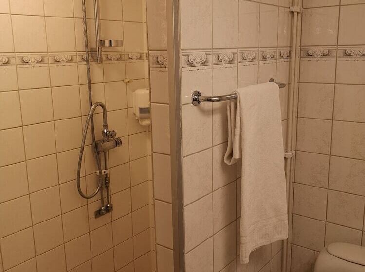 חדר סטנדרט יחיד, L åsen