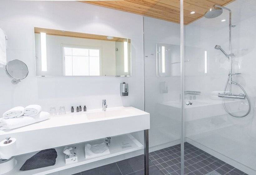 غرفة سوبيريور, Levi Panorama