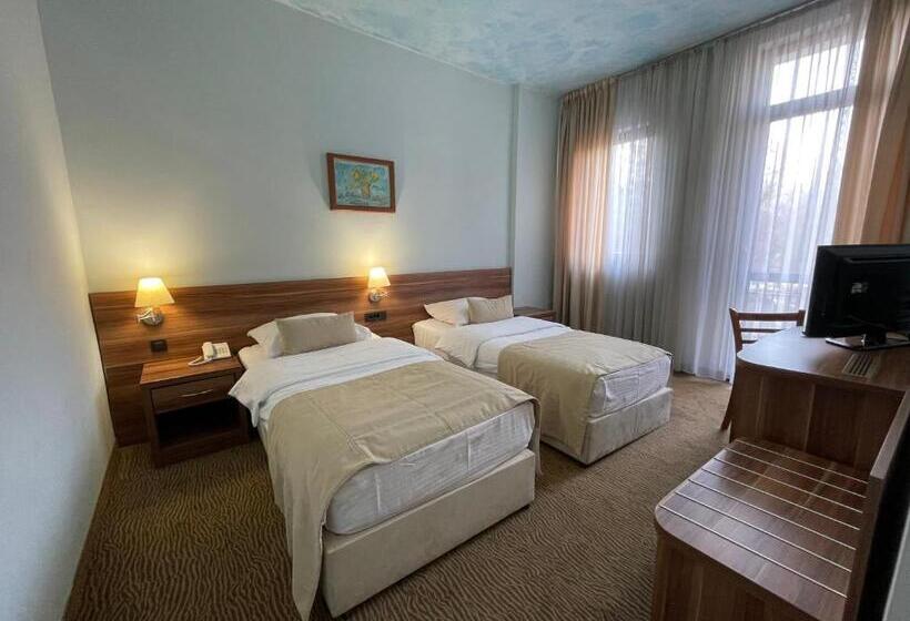 اتاق استاندارد, Spa Hotel Terme