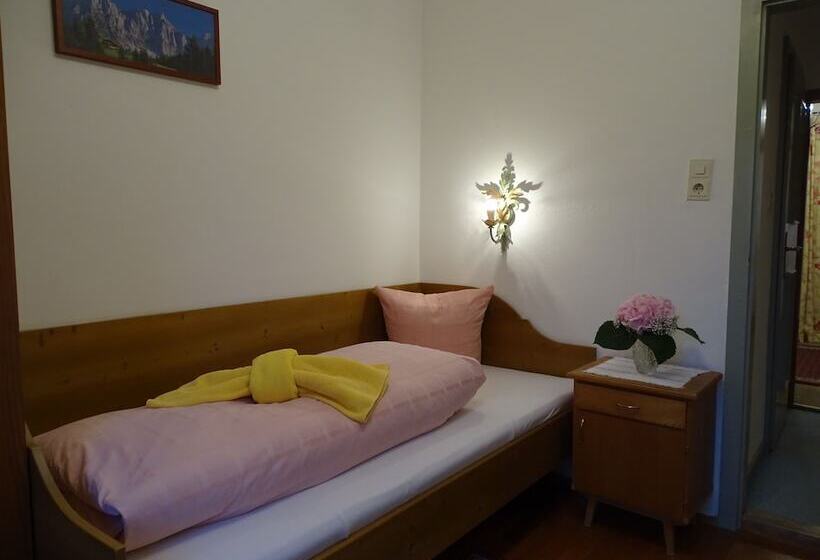 اتاق استاندارد یک نفره, Pension Rainhof