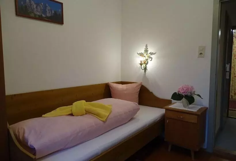 اتاق استاندارد یک نفره, Pension Rainhof