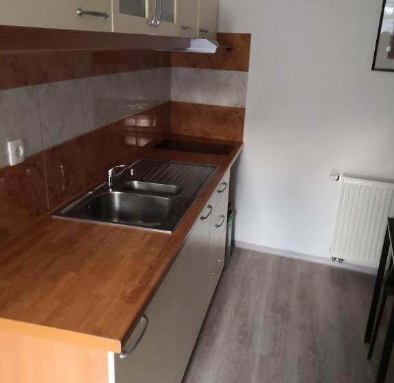 آپارتمان 1 خوابه همکف, Apartma Alja