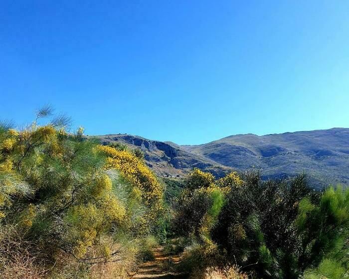 חדר סטנדרט, One Life Málaga Retreat