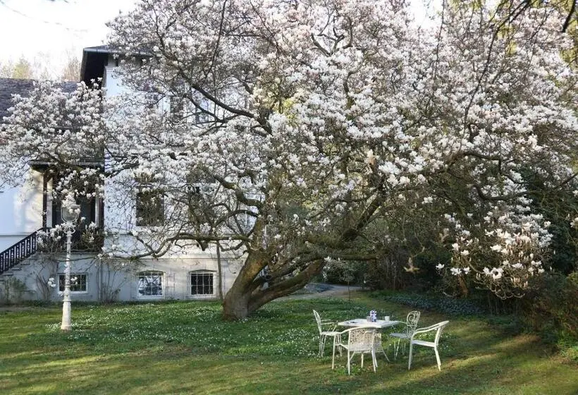 デラックスルーム, Villa Elisenruh