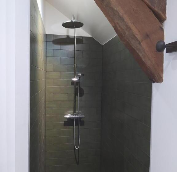 スタンダードルーム, Gaïnaa