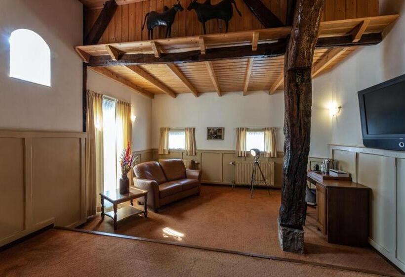 غرفة قياسية, De Watermölle