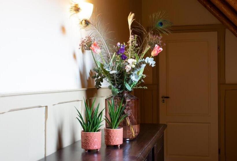 غرفة قياسية, De Watermölle