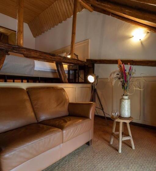 غرفة قياسية, De Watermölle