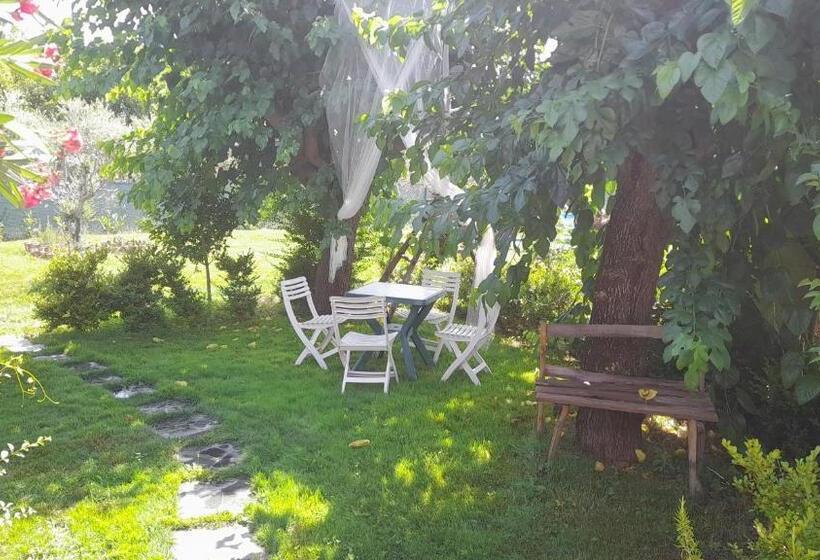 デラックスルーム, B&b Il Giardino Di Eolo