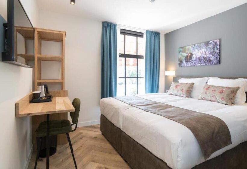 ベーシックルーム, Hof Van Holland