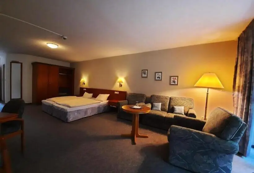 庭の見えるジュニアスイート, Parkhotel Keck Castillo Del Bosque