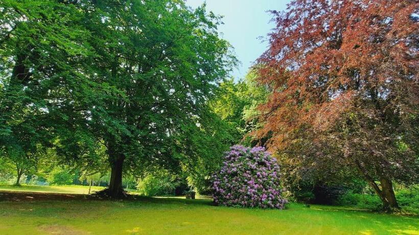 סוויטת ג'וניור נוף לגינה, Parkhotel Keck   Castillo Del Bosque