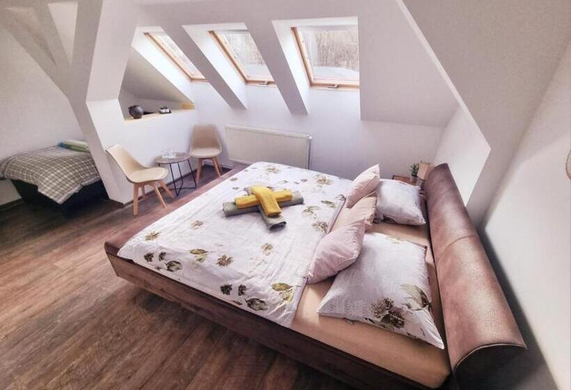 חדר קומפורט לשלושה, Penzion Orion