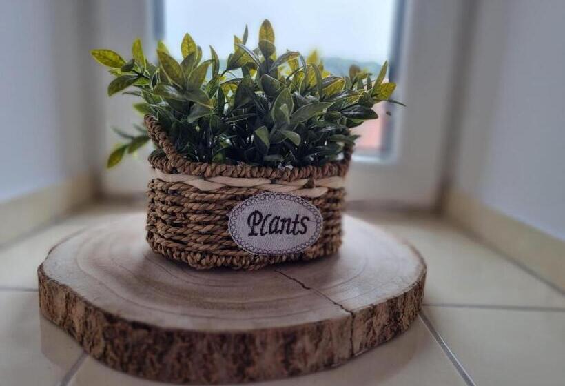 חדר משפחתי, Penzion Orion