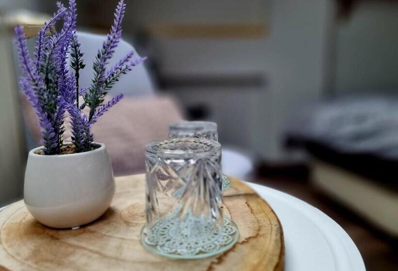 חדר סטנדרט, Penzion Orion