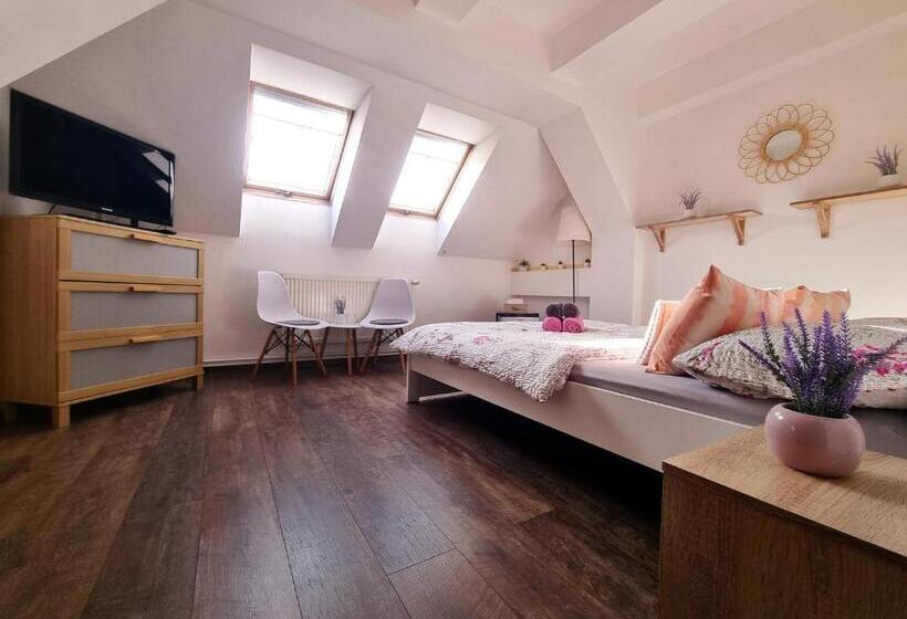 חדר סטנדרט, Penzion Orion