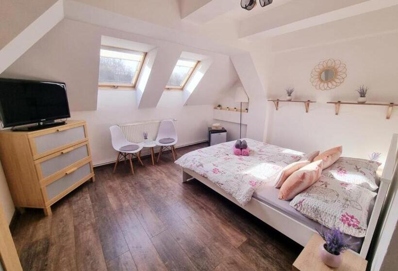 חדר סטנדרט, Penzion Orion