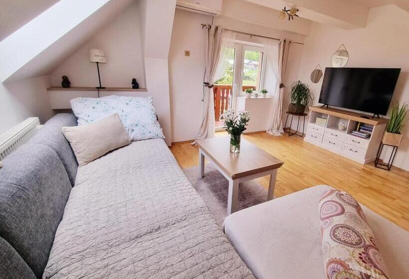 דירה בת חדר שינה 1 עם מרפסת, Penzion Orion