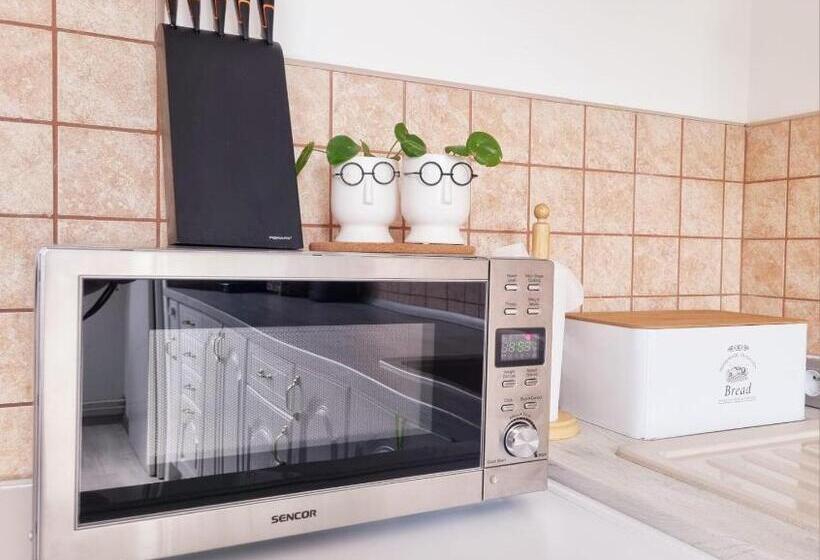 דירה בת חדר שינה 1 עם מרפסת, Penzion Orion