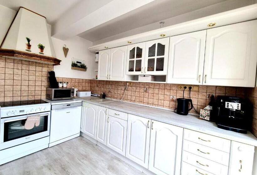 דירה בת חדר שינה 1 עם מרפסת, Penzion Orion