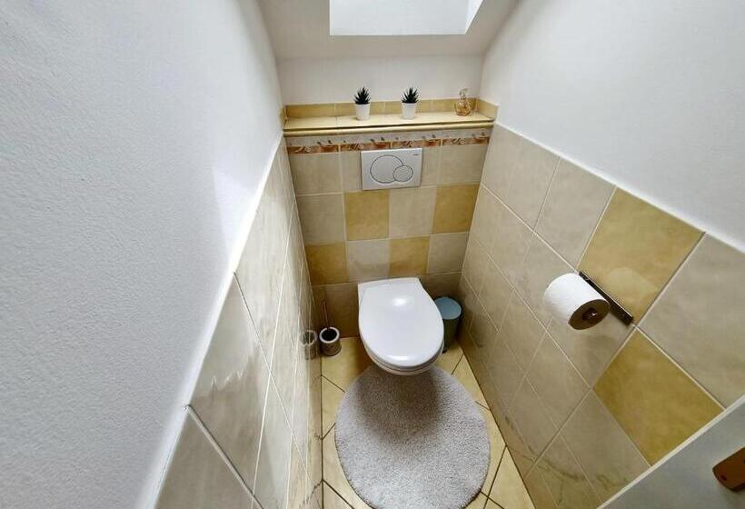 דירה בת חדר שינה 1 עם מרפסת, Penzion Orion