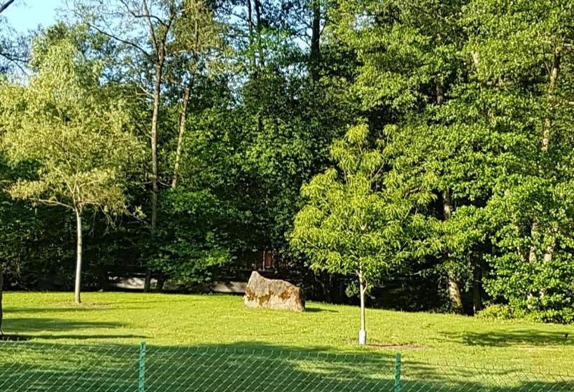 テラス付きスタンダードルーム, La Maison De Louise