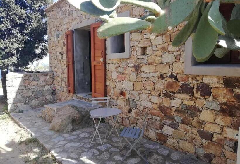 Дом 1 Спальня, Clos Olivella