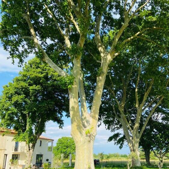 غرفة قياسية مطلّة علي حمام السباحة, Mas Des 2 Platanes