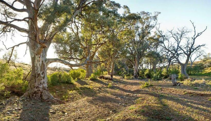 标准间, Holowiliena Station & The Outback Blacksmith