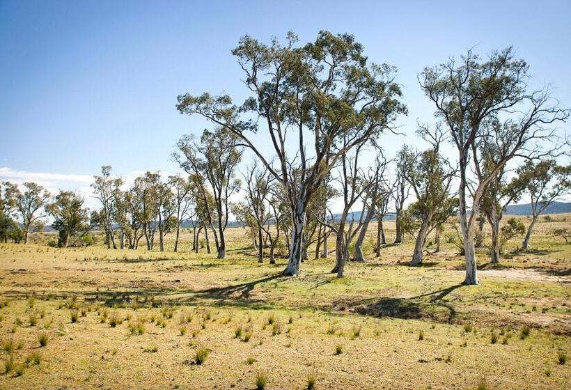 غرفة قياسية, Holowiliena Station & The Outback Blacksmith