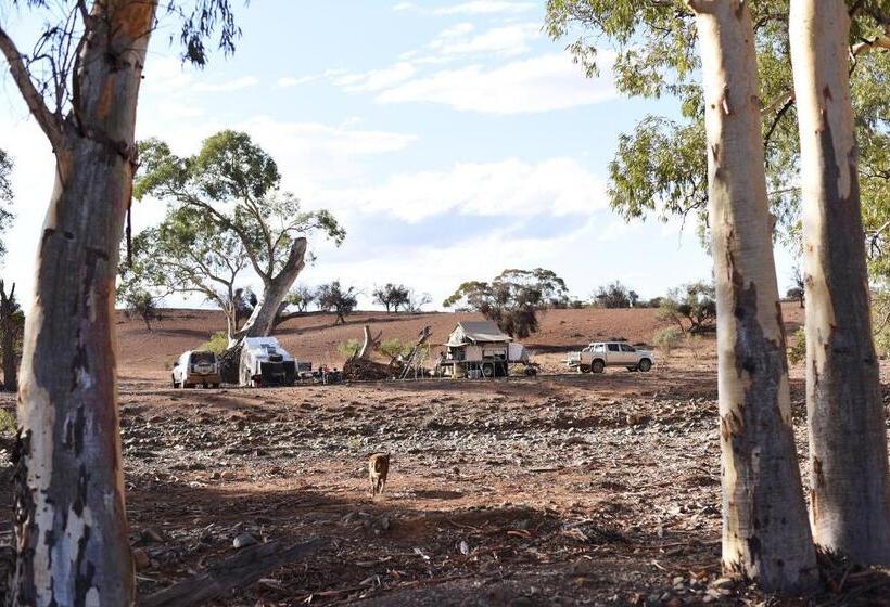 标准间, Holowiliena Station & The Outback Blacksmith