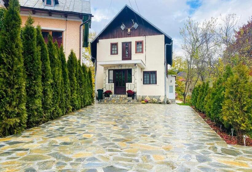 منزل غرفة نوم واحدة, Bucegi View