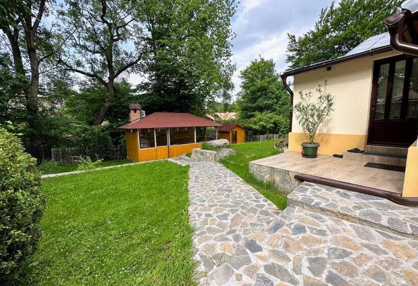 منزل 4 غرف نوم, Bucegi View