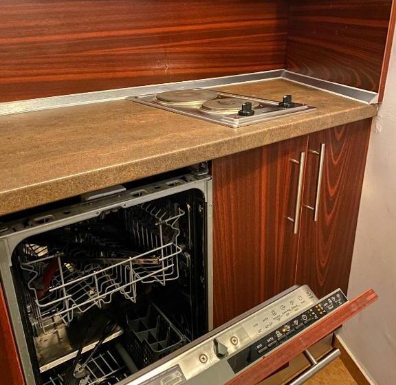 منزل غرفة نوم واحدة, Bucegi View