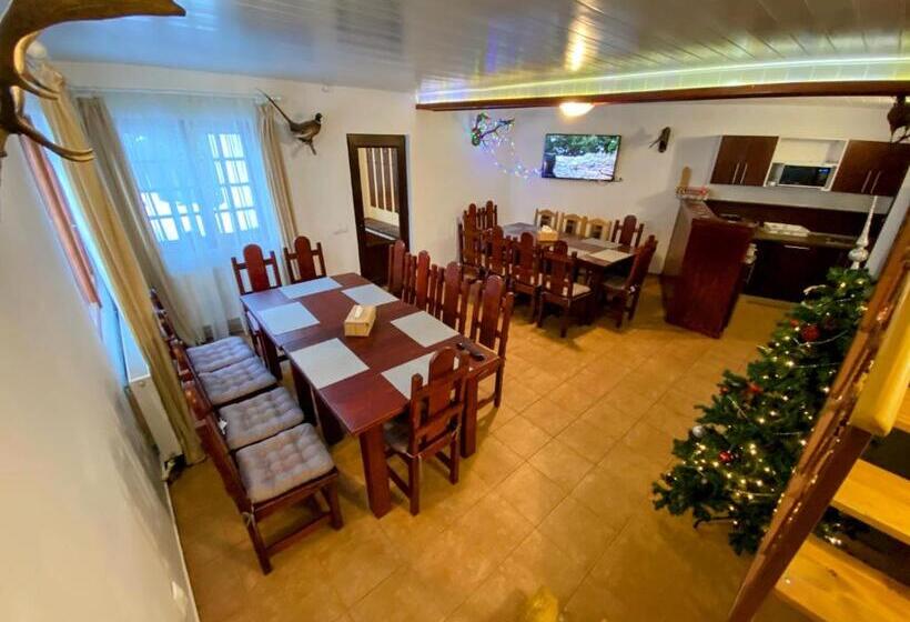 منزل غرفة نوم واحدة, Bucegi View