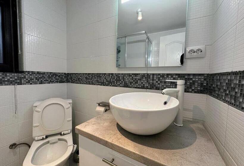 منزل 4 غرف نوم, Bucegi View