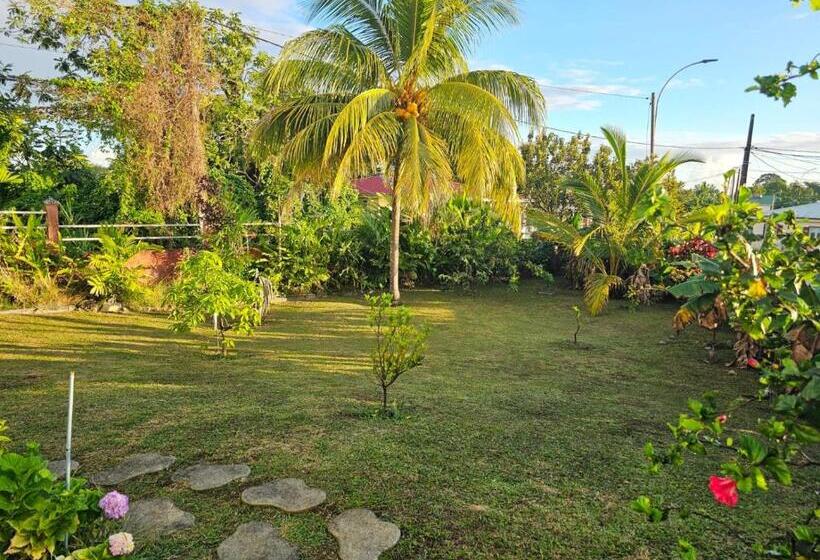 استودیو استاندارد با چشمانداز استخر, La Maison Aux Orchidées